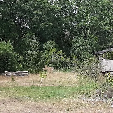 Naturcamp Ragosen/flaming * Belzig